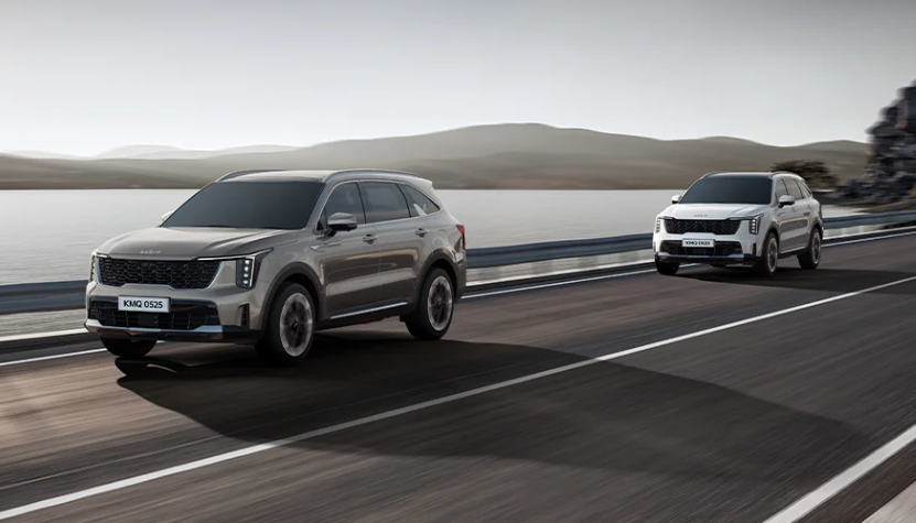 Smart Cruise Control (SCC)​